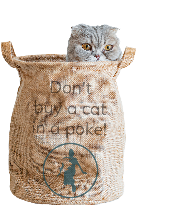 Katze aus dem Sack